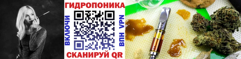 Какие есть наркотики Зеленогорск ГАШИШ  Alpha PVP  COCAIN  Меф  Канабис 