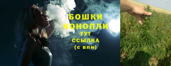 2c-b Белоозёрский