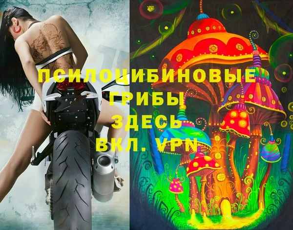 мяу мяу мука Беломорск