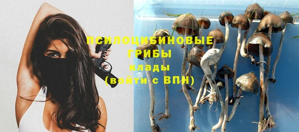 2c-b Белоозёрский