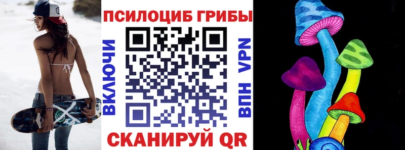 наркота  Зеленогорск  Псилоцибиновые грибы прущие грибы 